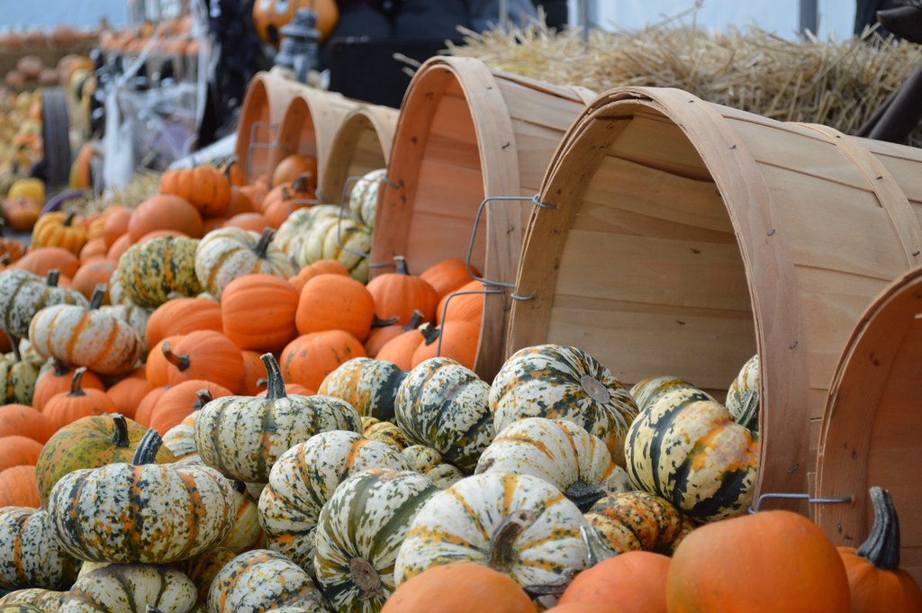 Pumpkin Display Pulley's Leroy NY Fall 2014 Susan Sewert Flickr