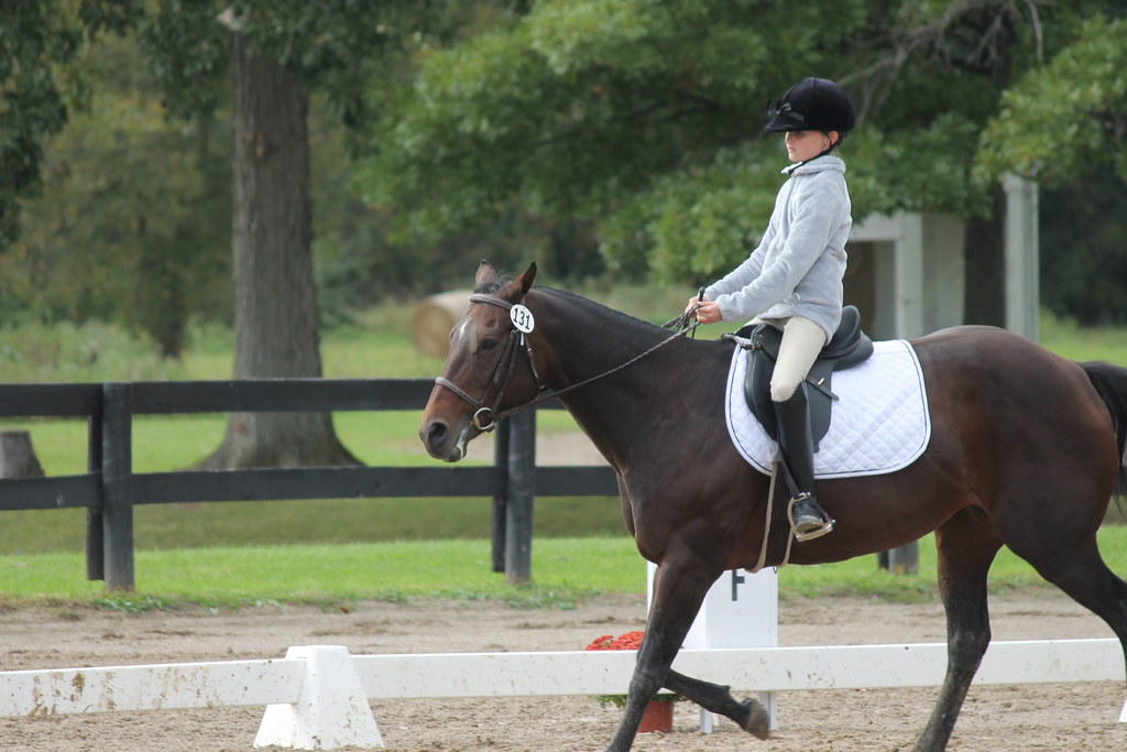 Dressage at Woodbine Schooling Show (September 21, 2014 … Flickr