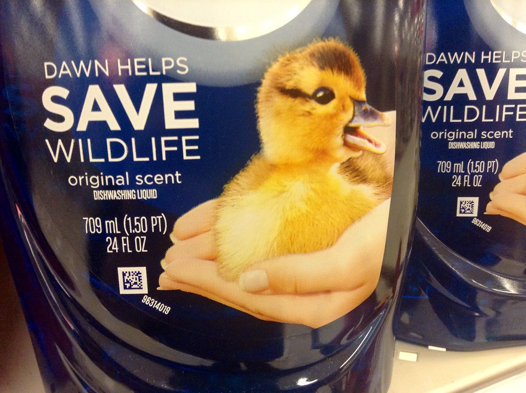 Dawn Dishwashing Detergent save Wildlife Bottle. Dawn oil … Flickr