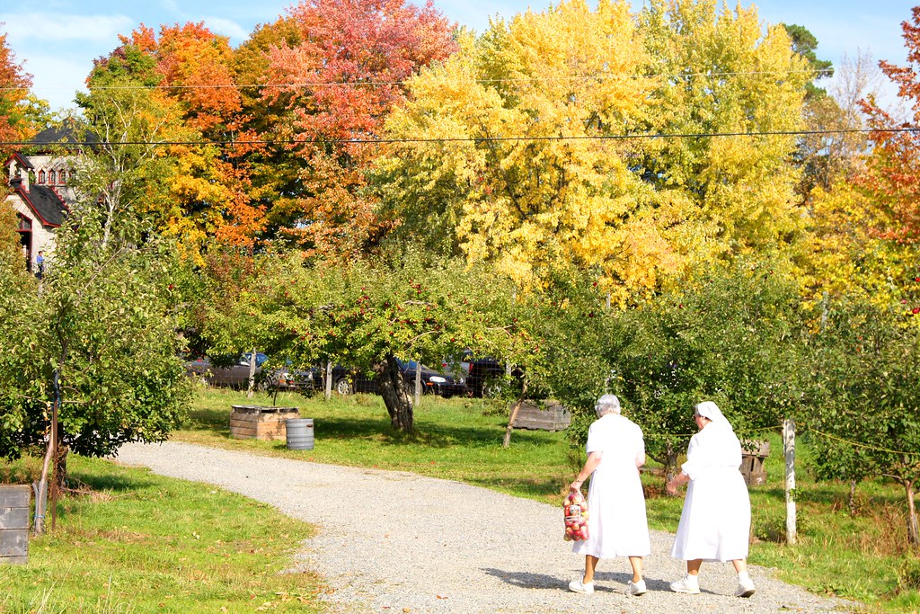 Soeurs aux Pommes ! StBenoitduLac, Quebec SONY DSC Yves Fournier