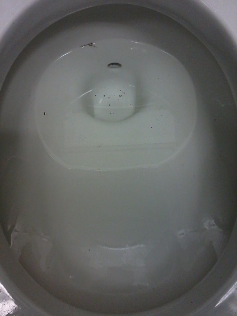 Gerber Forward Trap Toilet a photo on Flickriver