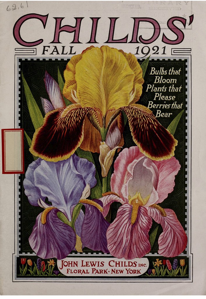 Iris. John Lewis Childs, Inc. (1892). Fall bulbs that bloo… Flickr