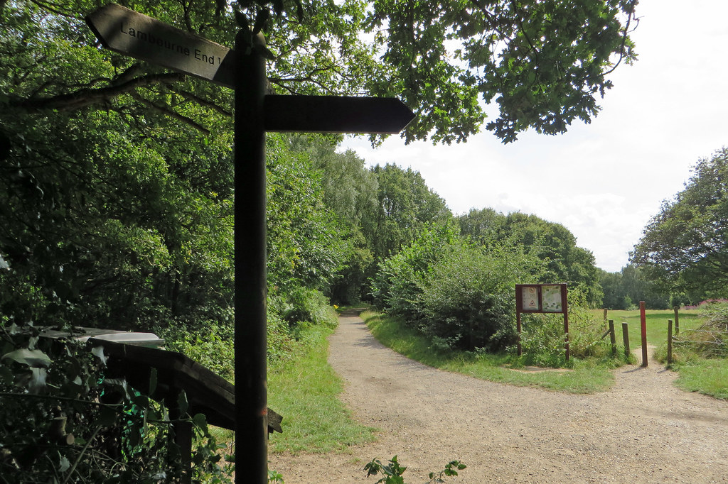 Redbridge (Cabin Hill, 90m) The summit, snapped from the b… Flickr