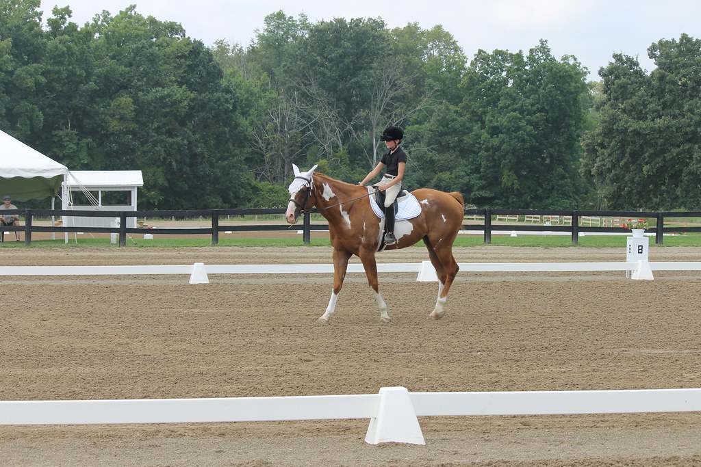 Dressage at Woodbine Schooling Show (August 24, 2014 Che… Flickr