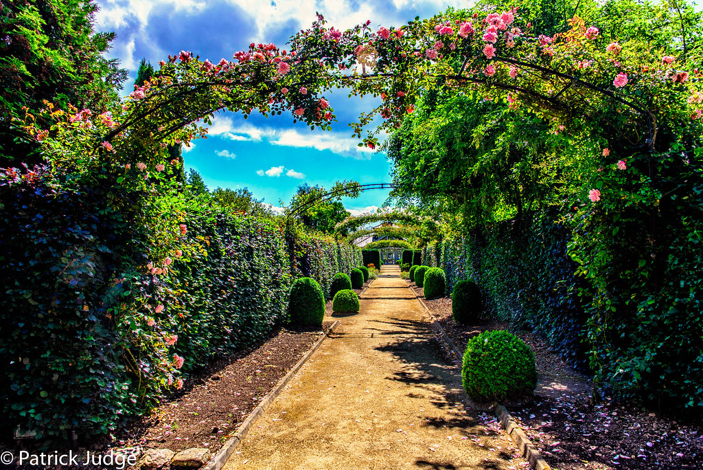 20150628Kilquade Garden Centre0002.jpg Pat_J1 Flickr