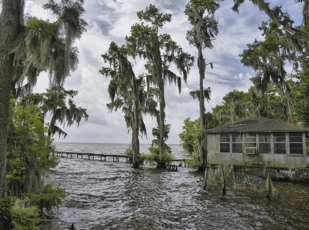 lake verret camp Peter Clark Flickr
