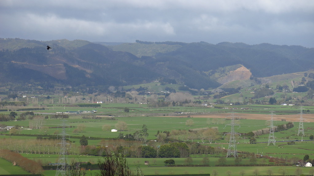 Whitford 14092014 110608 a.m. Mark in New Zealand Flickr