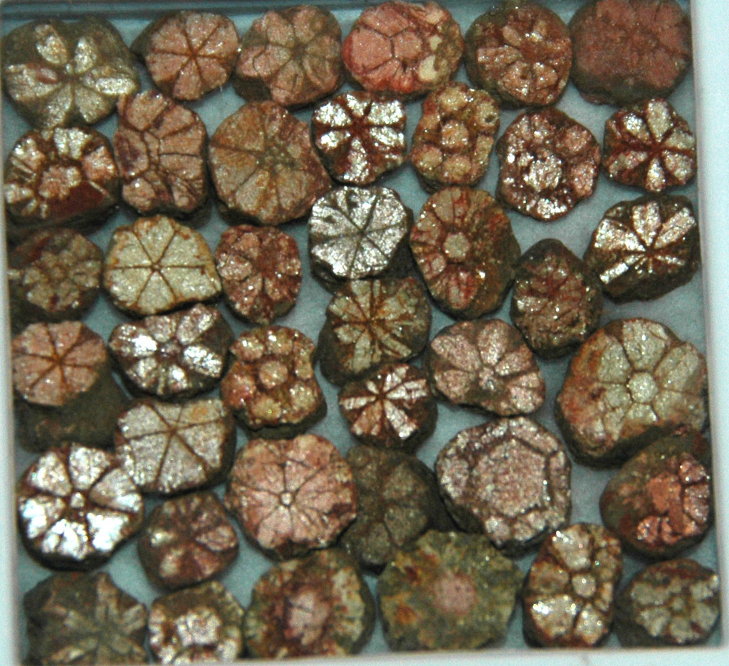 Cherry blossom stones (pinite) (muscovite mica replacing i… Flickr
