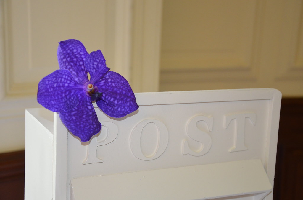 Postbox Flower Magnolia Events Flickr
