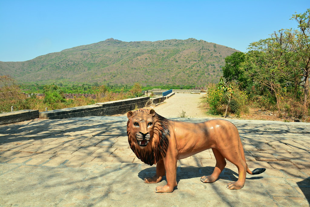 India Gujarat Junagadh Uparkot Fort Lion At Steppe… Flickr