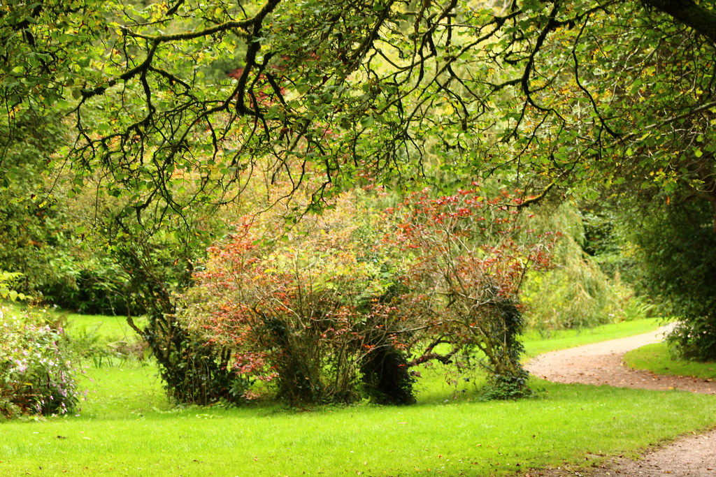 Bryngarw Park 008 christopher james Flickr