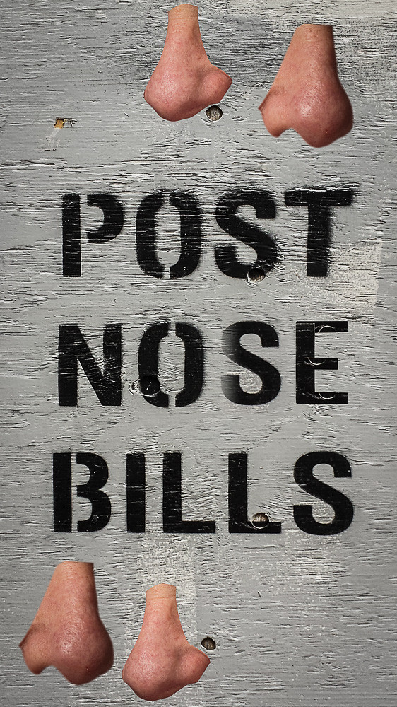 Push it up your nose Send me your nose and I will post it.… Keith Holmes Flickr