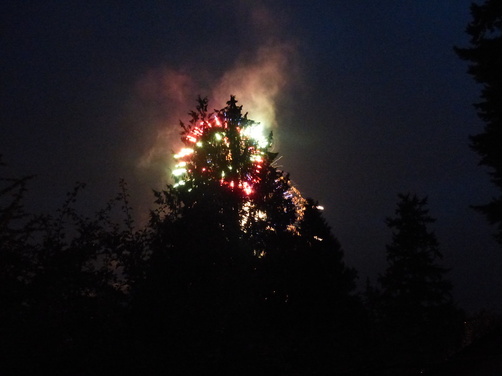 Fireworks though the trees Indianola washington bballchico Flickr