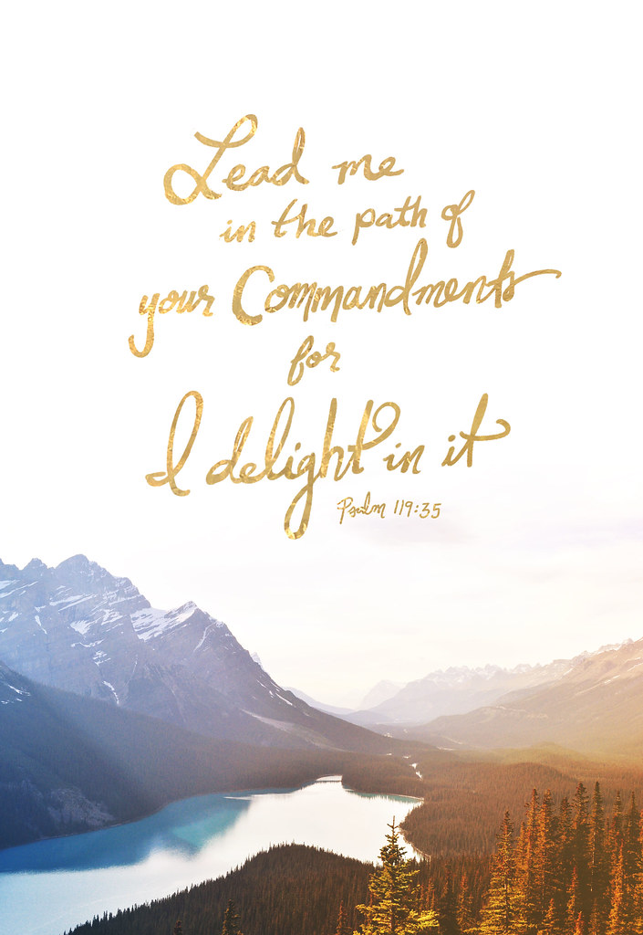 Psalm 11935 Teach me, O LORD, the way of your statutes; a… Flickr
