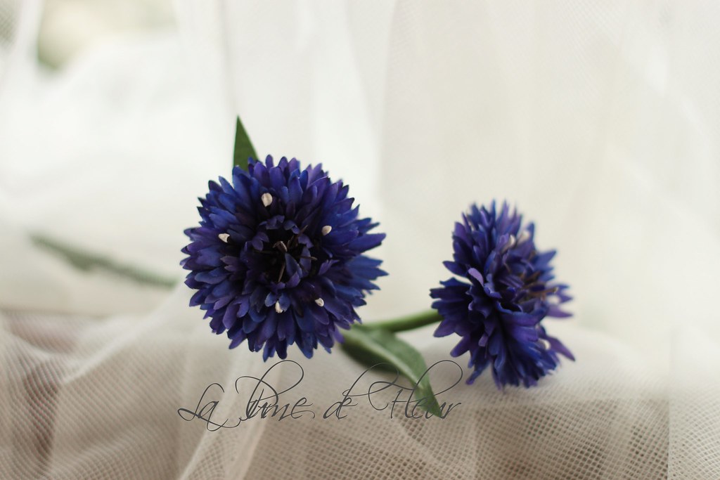 Silk Cornflower dark blue LaPlume de Fleur Flickr