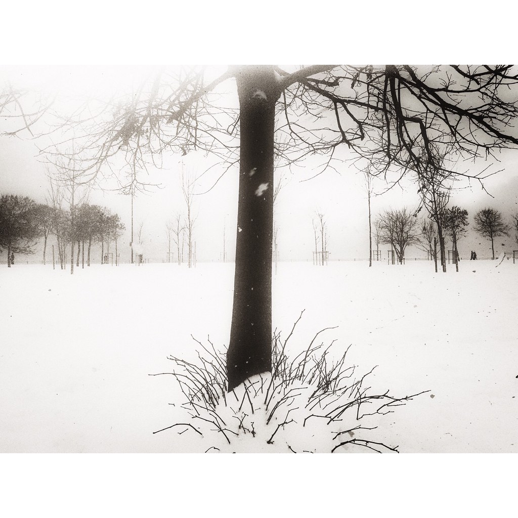 Another Birth Ah this is my lot this is my lot my lot is a… Flickr