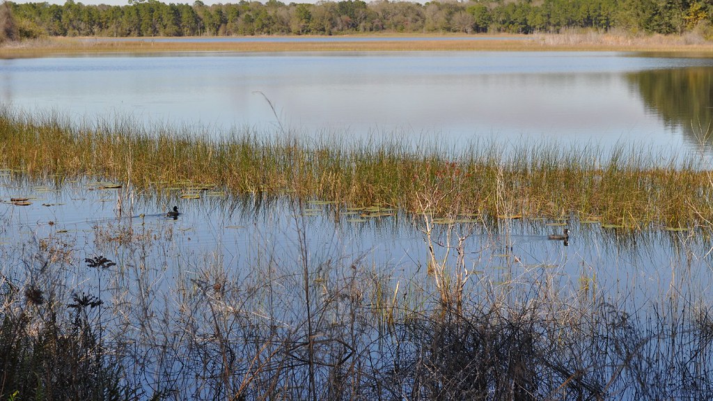 Lake Rogers Park_00007 Brand Photography Flickr