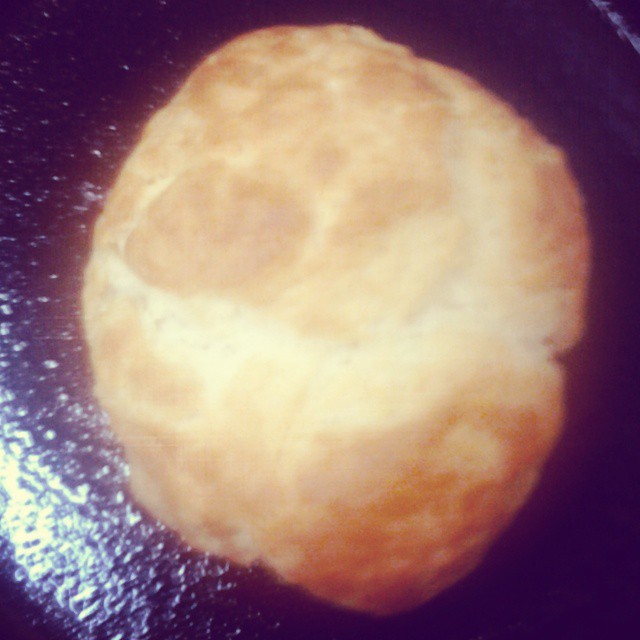 MY TOASTER OVEN BUTTERED BIG MAMA BISCUIT!!! Penny Barber Flickr
