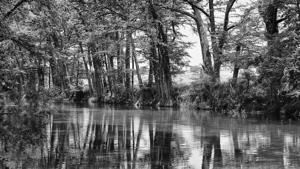 Medina River Serenity This is the Medina River, west of Ba… Flickr