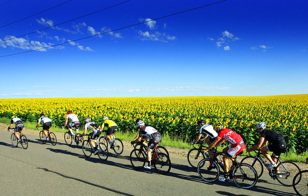 Sunflower cycleton Cycling Denver Colorado's cycleton Bicy… Flickr