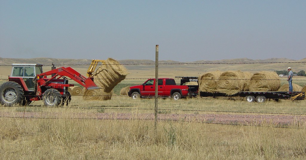 Baling hay with Red near Gillette, WY Doris Rapp Flickr