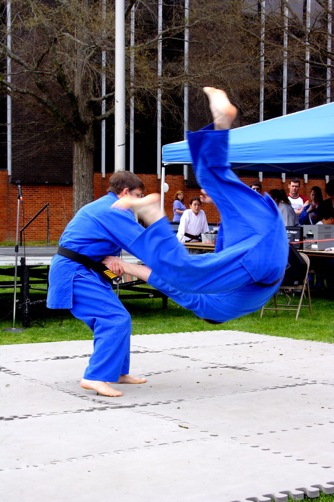 Flip Martial Arts Exhibition, International Fiesta, Missis… Flickr