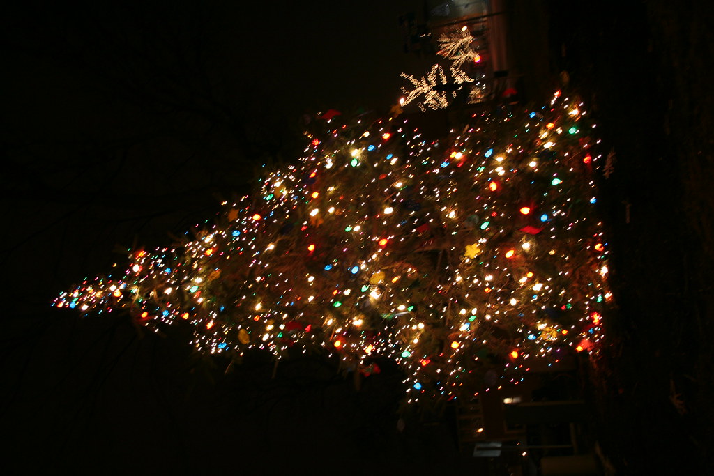 IMG 3822 Christmas Lights in Lincoln Park, St. Charles, IL