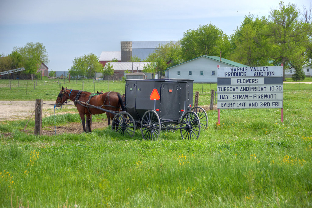 Wapsie Valley Produce Auction, Buchanan County, Iowa Flickr