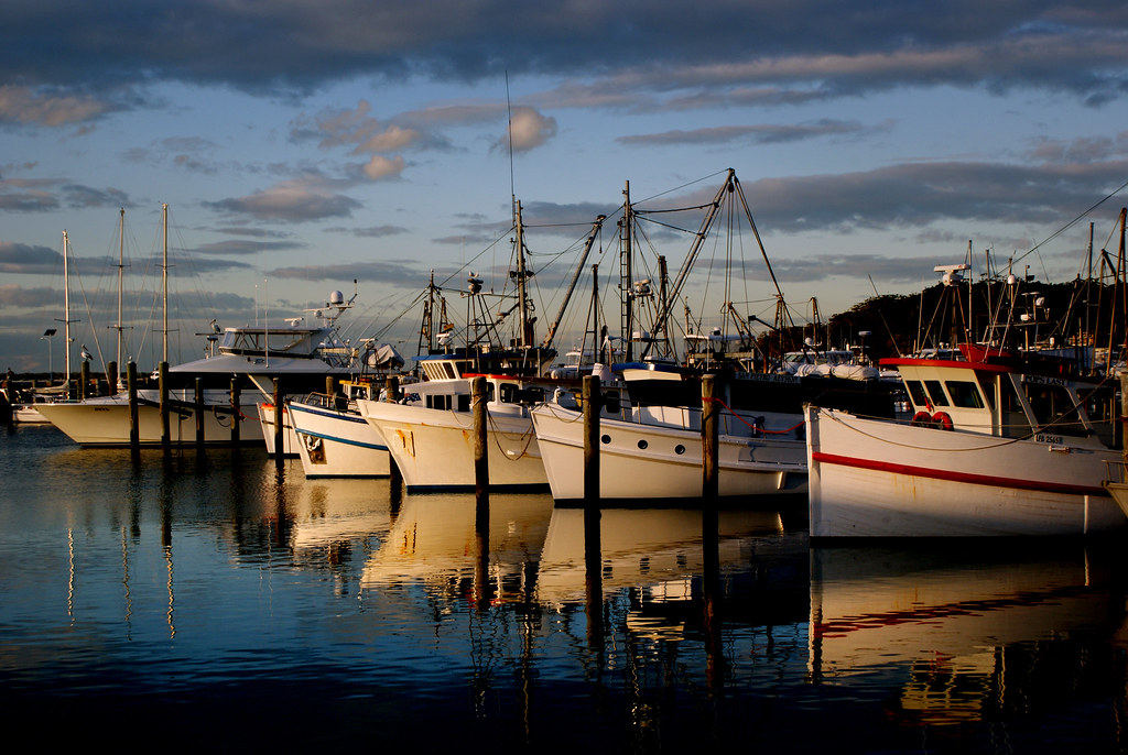 Port Stephens. NSW Australia. a photo on Flickriver