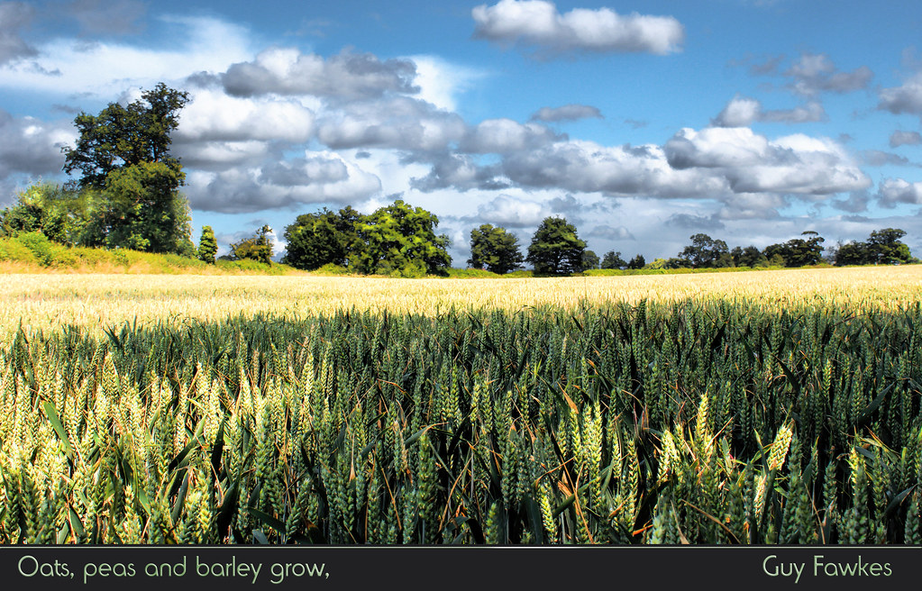 Oats peas beans and barley grow, font Blippo light SF Oat… Flickr