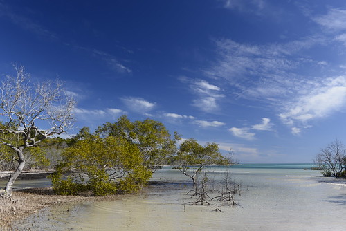 Wathumba Creek, Fraser Island Wathumba Creek, Fraser Islan… Flickr
