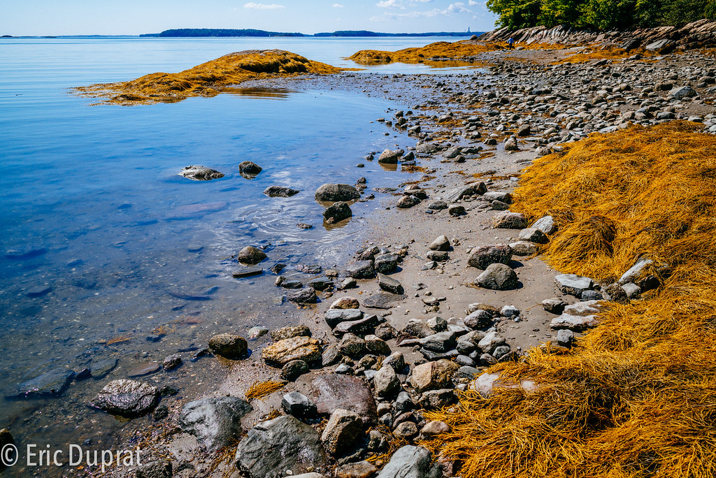The beach & Moshier Island Wolf's Neck State Park Flickr