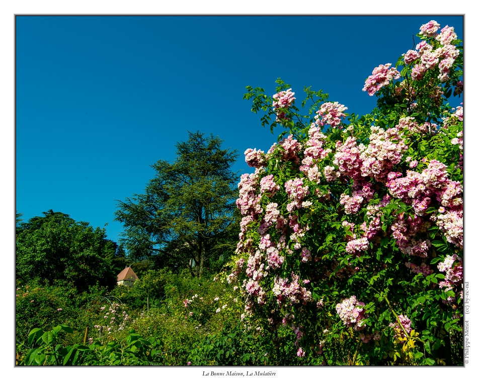 La mulatiere_jardin_de_La_Bonne_Maison_3624 Philippe