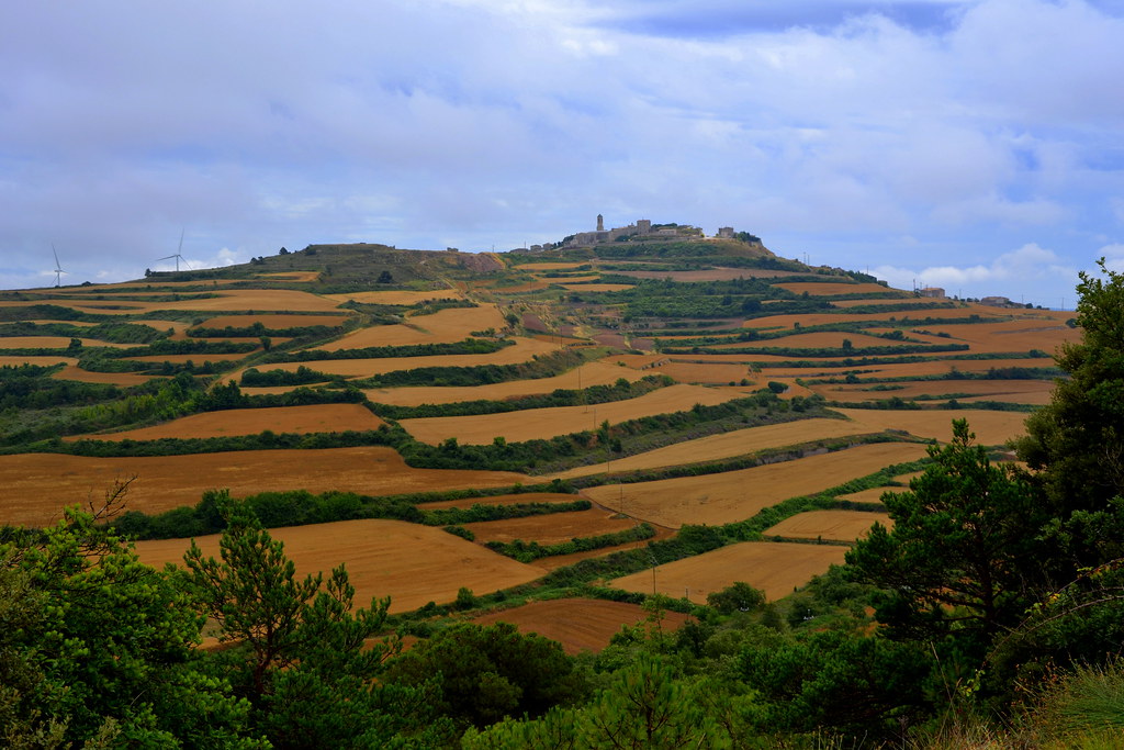 Fores, paisatge de la Conca de Barberà. Angela Llop Flickr