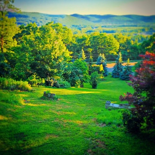 Elevation of Ridgebury Township, PA, USA Topographic Map Altitude Map