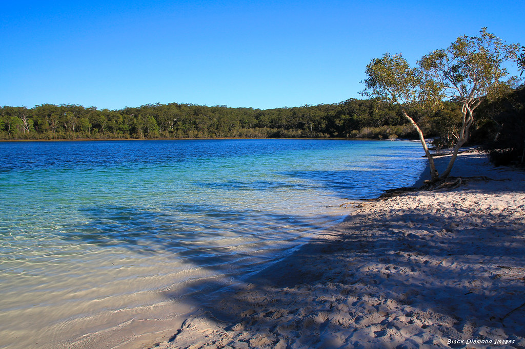 Boorangoora (Lake McKenzie), Fraser Island, SE Queensland Flickr