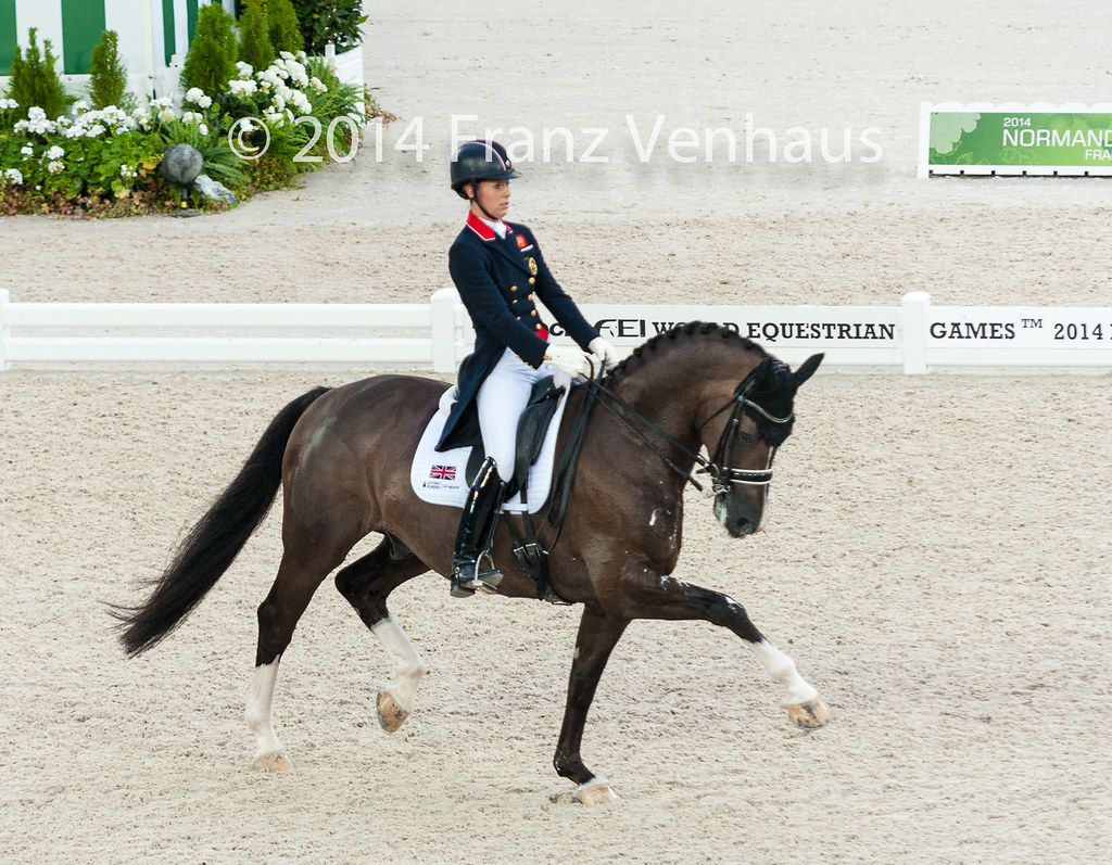 140826_Dressage_GP_2_1306.jpg Dressage Grand Prix Day 2 of… Flickr
