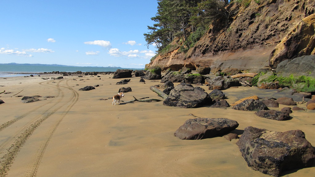 Orua Bay Andrew Lynch Flickr