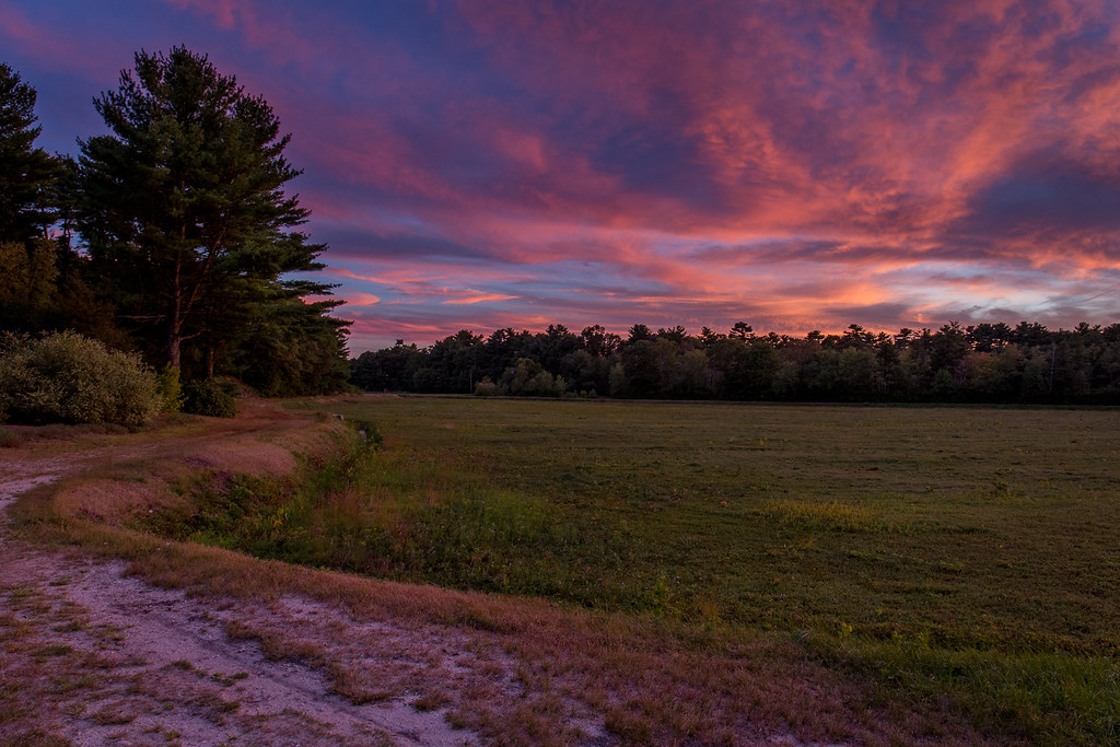 Cranberry Bog in Duxbury A cranberry bog at sunset off Oak… Flickr