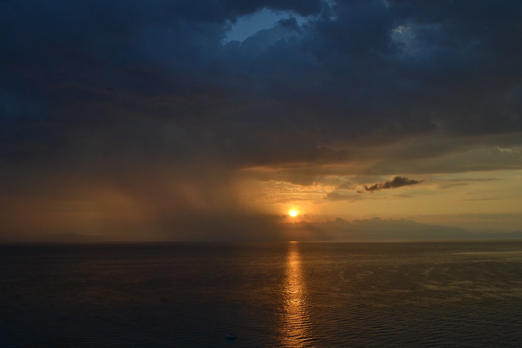 First flush of the morning Magalakis Flickr