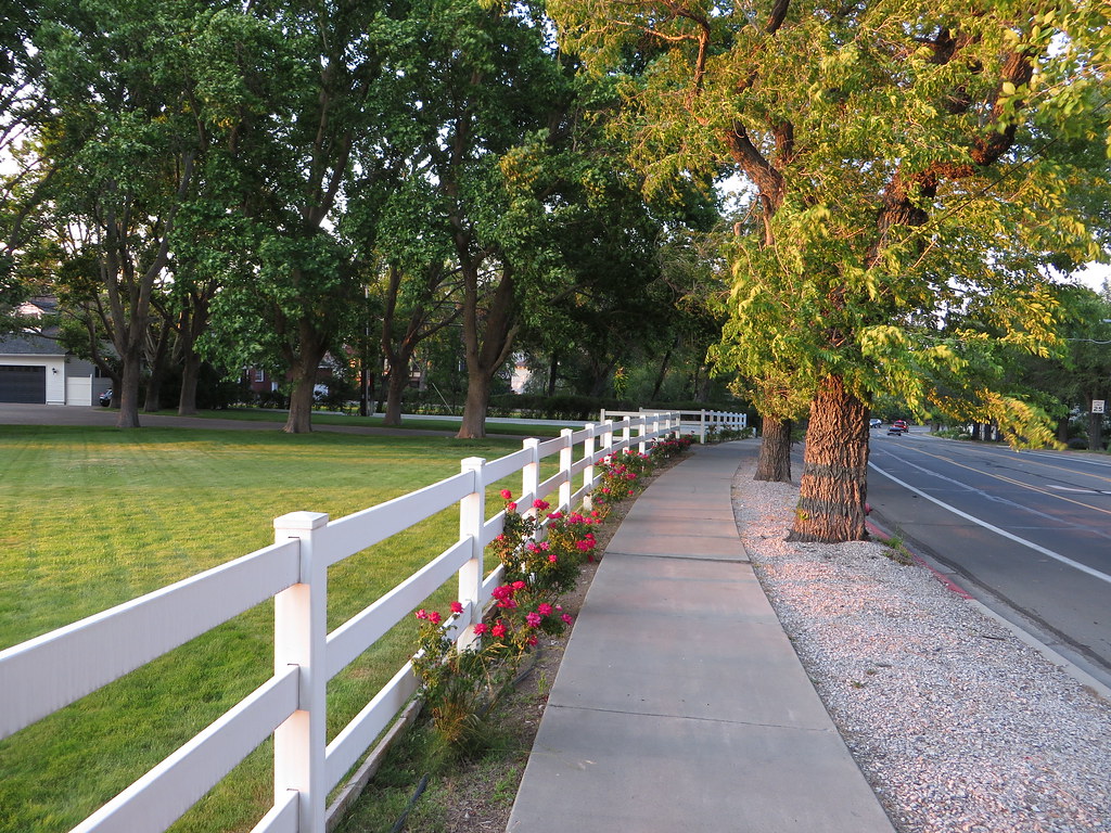 California Avenue, Reno, Nevada Reno is a city in the US s… Flickr