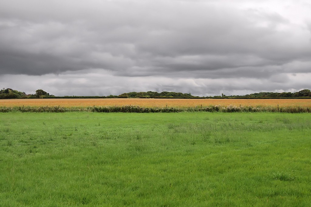 Storeton Wirral (United Kingdom) Franganillo Flickr