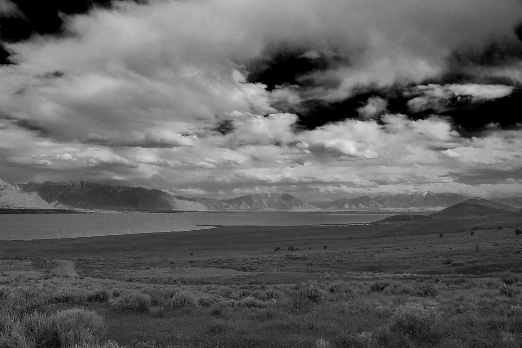 Pelican Point BW Pelican Point Utah Lake Dan Reyes Flickr