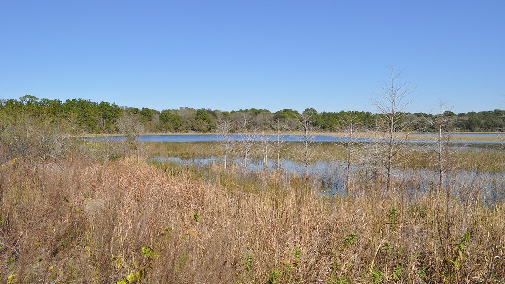 Lake Rogers Park_00002 Brand Photography Flickr