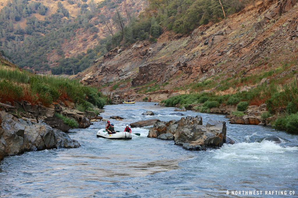 Rapid above Rose Creek This section of the Stanislaus Rive… Flickr