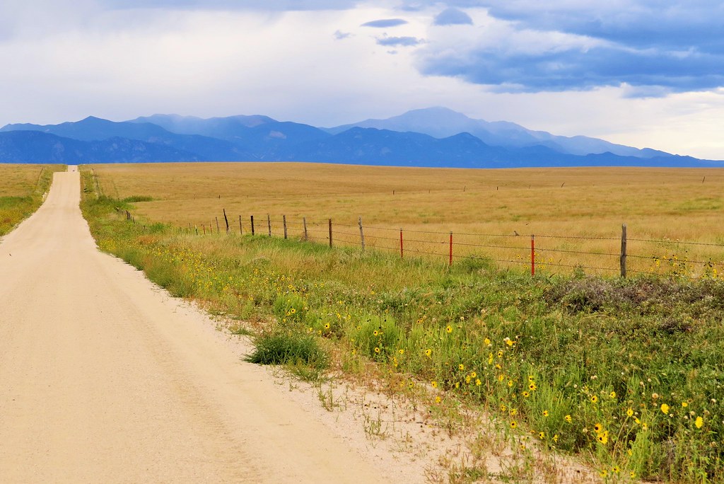 Drennan Road Patricia Henschen Flickr