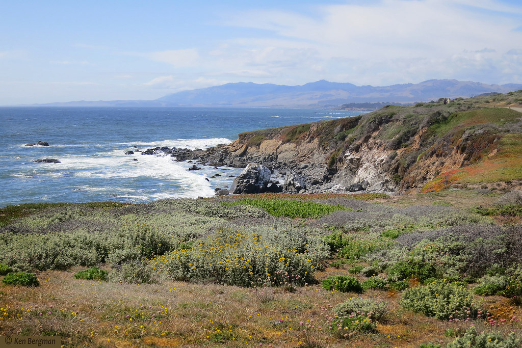 Fiscalini Ranch Preserve; Cambria, California (May 20, 201… Flickr
