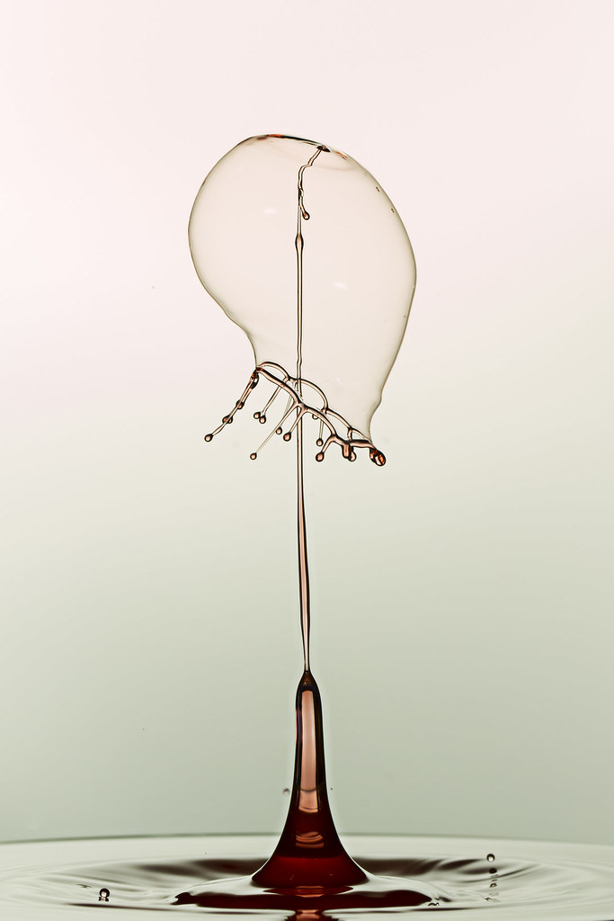 SplashArt 3 Image taken with the single valve SplashArt MK… Flickr