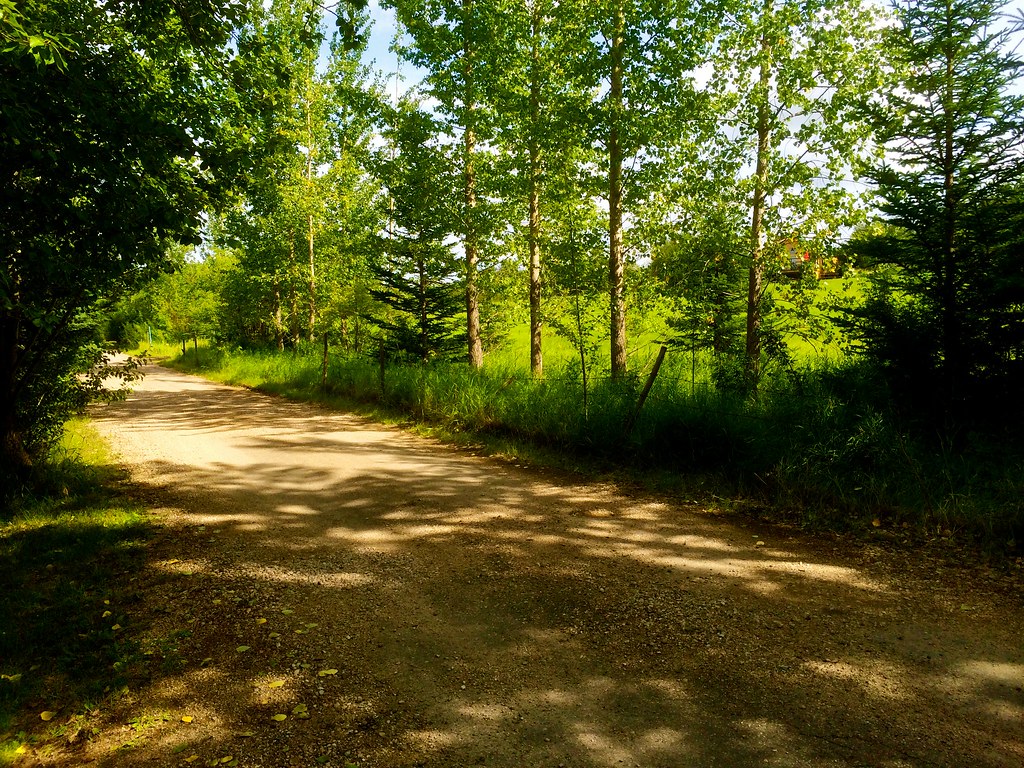 Elevation of Wakaw, SK S0K 4P0, Canada Topographic Map Altitude Map