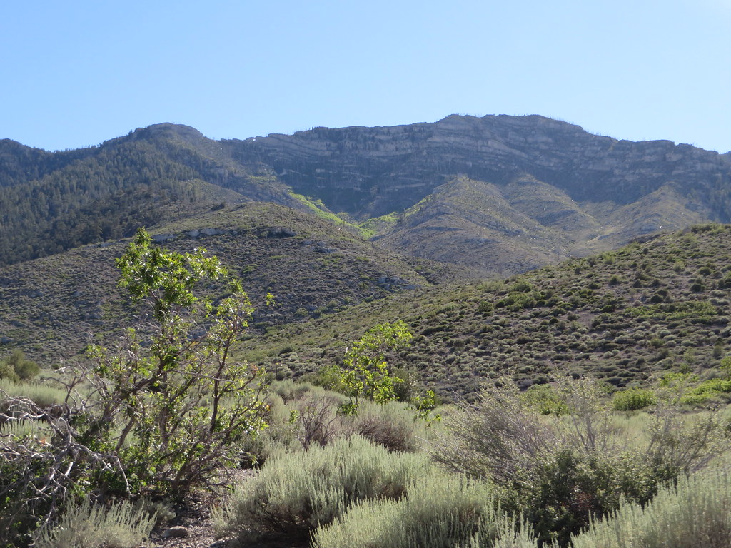 Spring Mountains from Cold Creek Road, North of Las Vegas,… Flickr